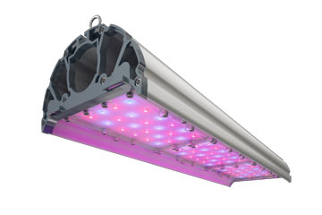 Фито светильник TL-FITO 126 OG