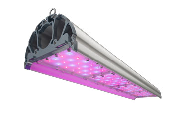  Уличный светильник TL-FITO 168 OG