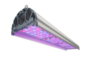 Фито светильник TL-FITO 168 ZE