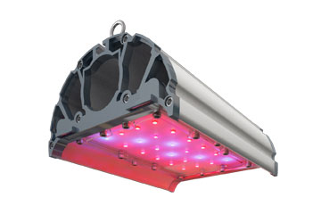 Фито светильник TL-FITO 42 UN