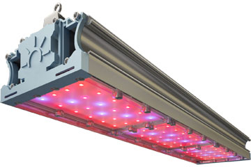 Фитосветильник для овощей, ягод и цветов TL-PROM FITO 135 UN