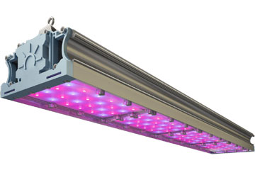 Фитосветильник для саженцев и рассады<br/>на стадии до вегетативного роста TL-PROM FITO 212 RS