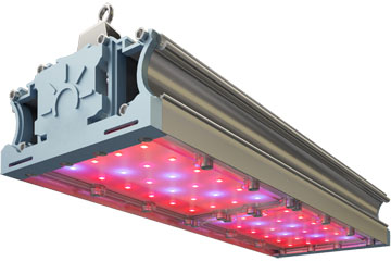 Фитосветильник для овощей, ягод и цветов TL-PROM FITO 90 UN