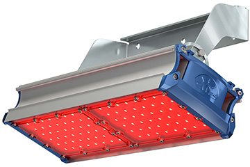 Красный прожектор TL-PROM SM 100 FL D Red